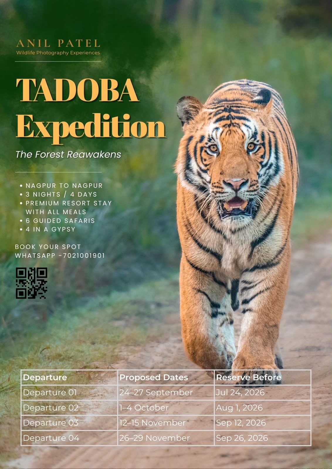 TADOBA Expedition - The Forest Reawakens