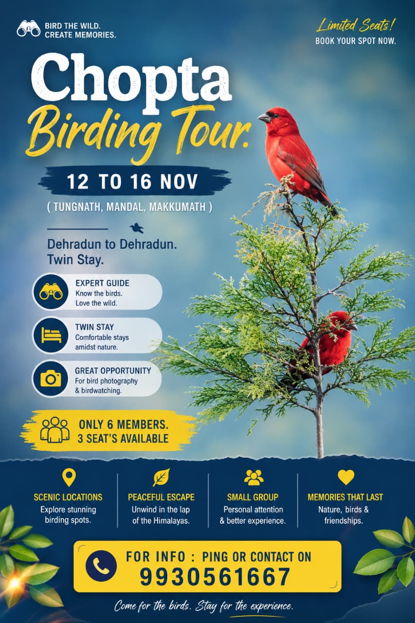Chopta Birding Tour
