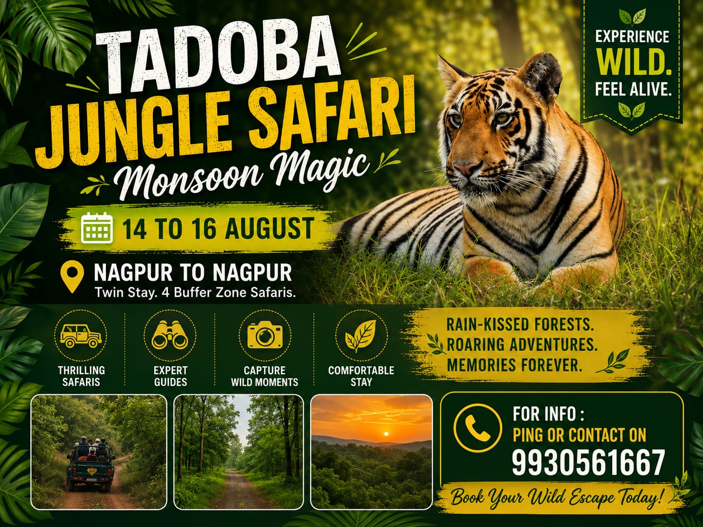 Tadoba Jungle Safari - Monsoon Magic
