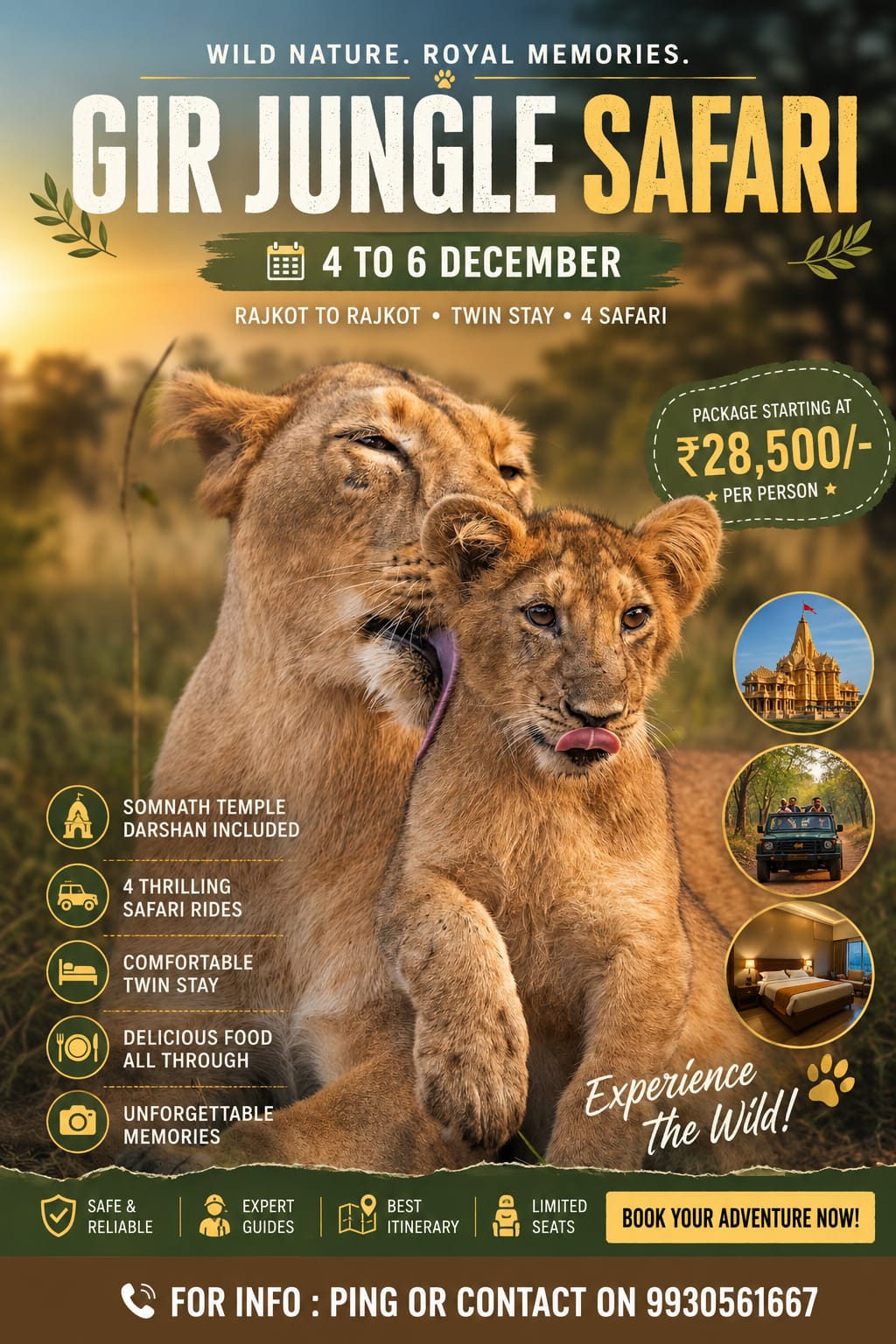 Gir Jungle Safari