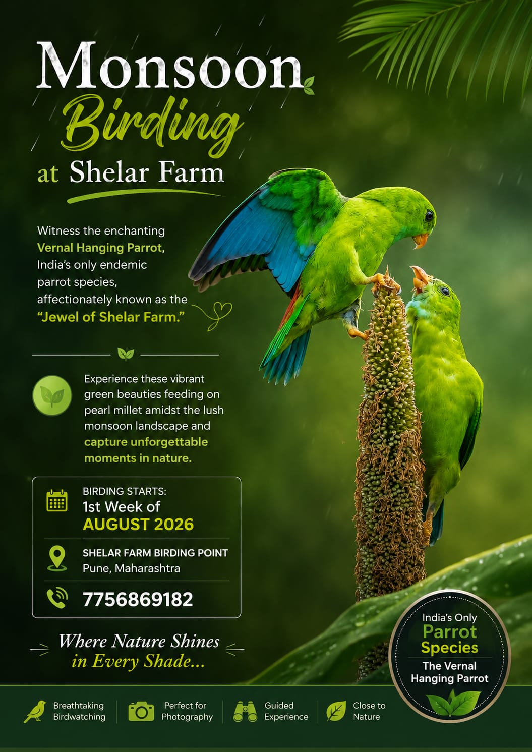 Monsoon Birding @ Shelar Farm